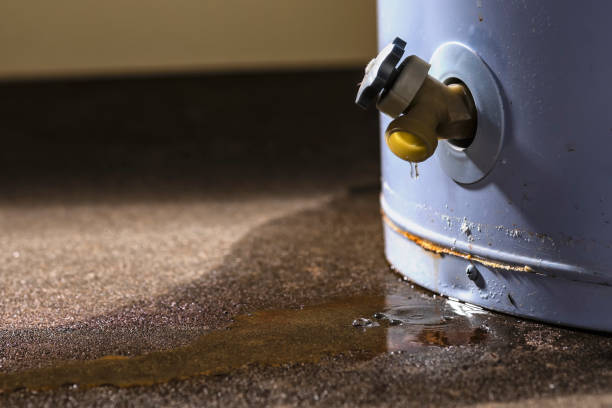 Best Water damage restoration mold remediation  in Noroton, CT