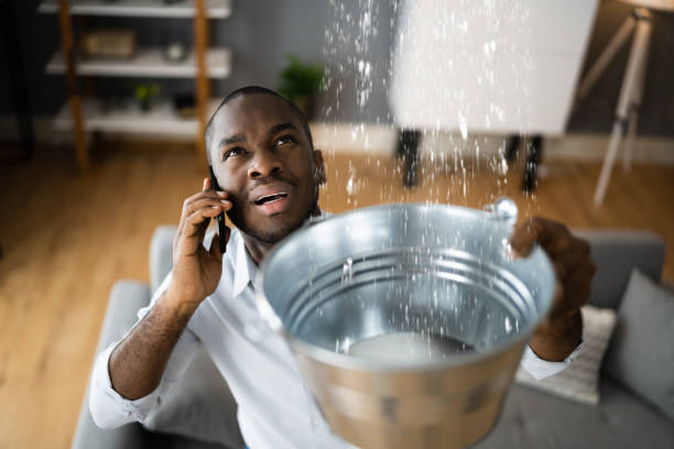 Best 24-hour water damage restoration  in Noroton, CT
