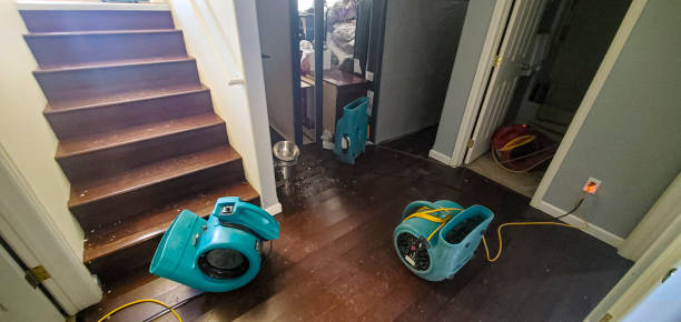 Water damage restoration insurance claims in Noroton, CT