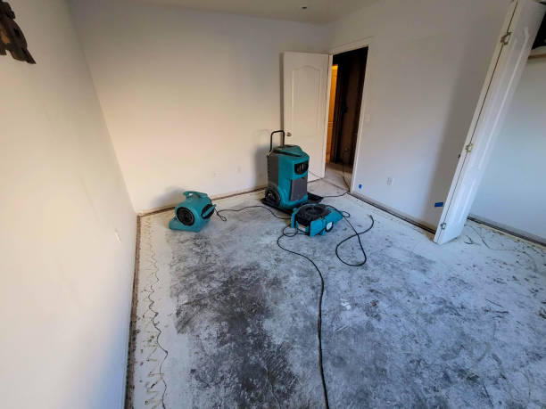 Best 24-hour water damage restoration  in Noroton, CT