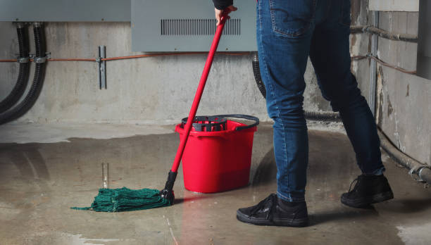 Best Local water damage restoration  in Noroton, CT