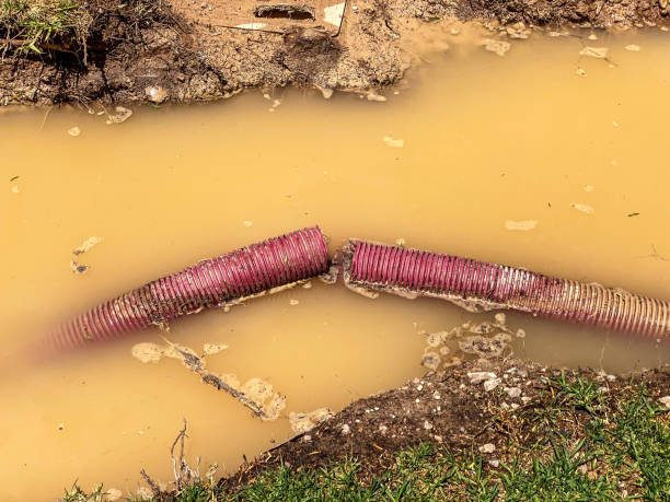 Best Water damage contractors near me  in Noroton, CT